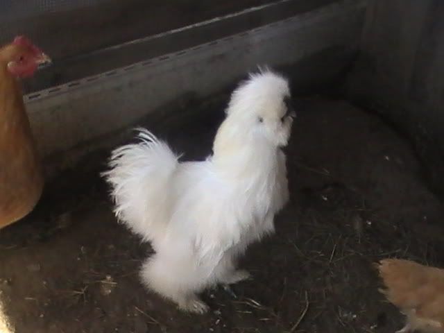 PIC_0099.jpg