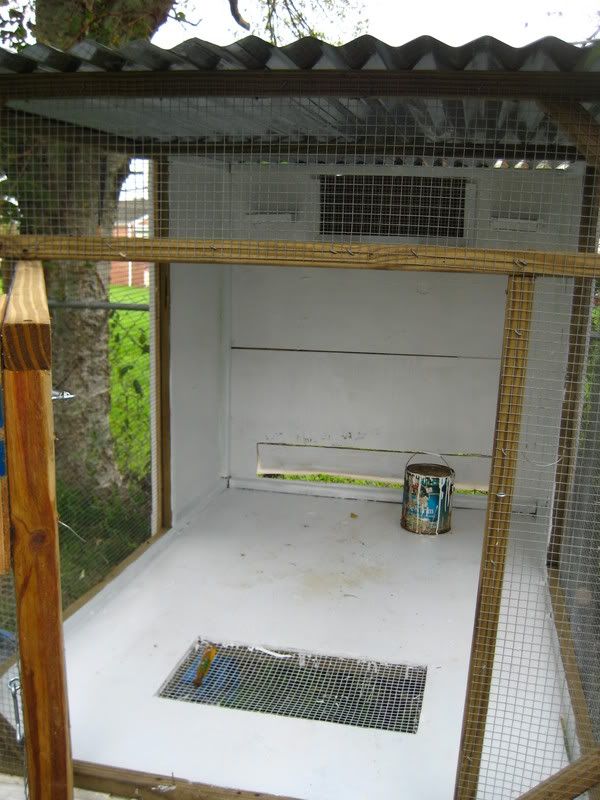 dove003-1.jpg