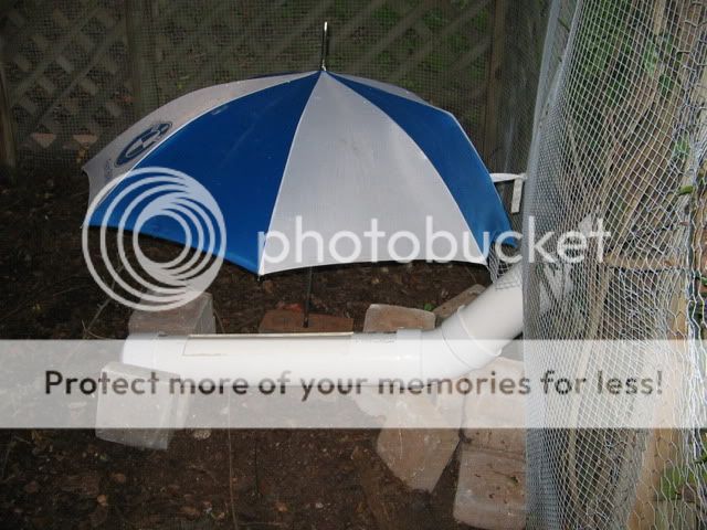 IMG_1682.jpg