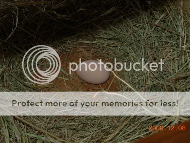 DSCN2851.jpg