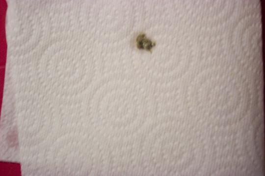 100_1903.jpg