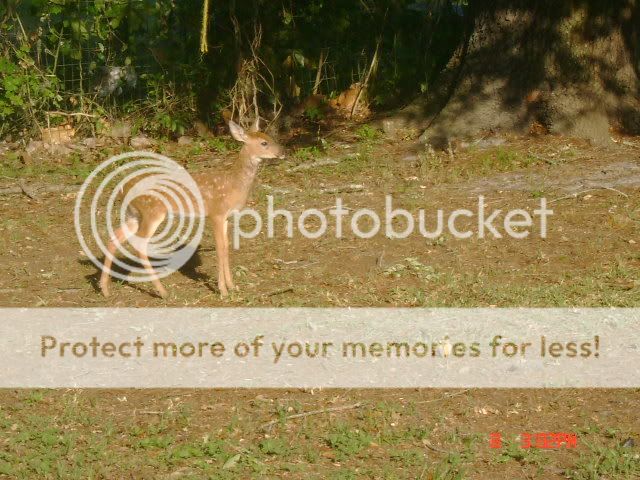 DSC00874.jpg