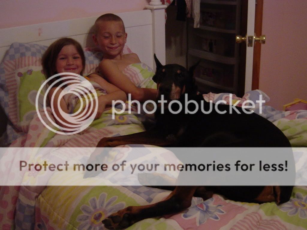 2008Babies008.jpg