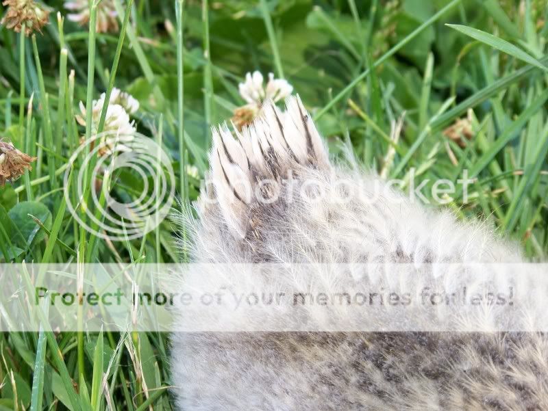 100_5937.jpg