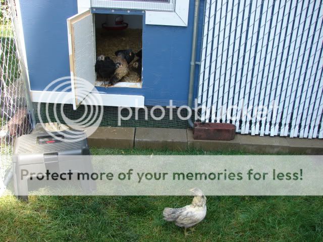 DSC00966.jpg