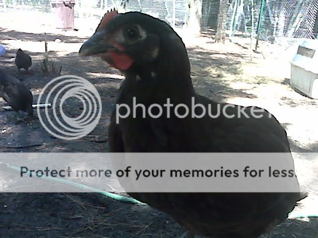 IMG01577.jpg