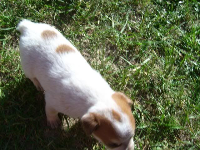 growingup025.jpg