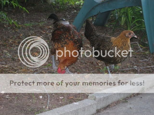 IMG_1215.jpg