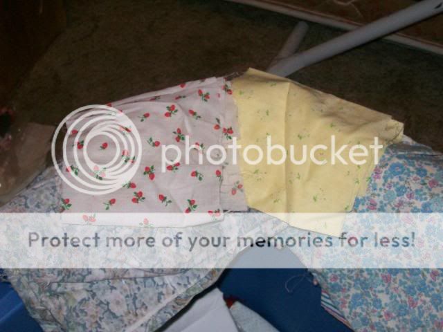 107_0084.jpg