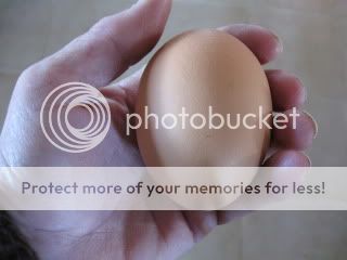 010510002.jpg