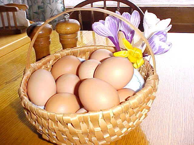 FirstEasterEggs02.jpg