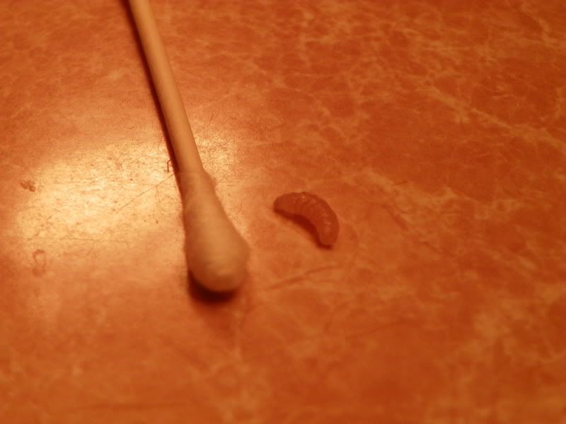 100_1149.jpg