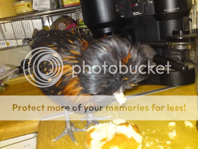 DSC01201.jpg