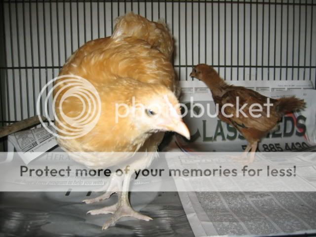 IMG_1321.jpg