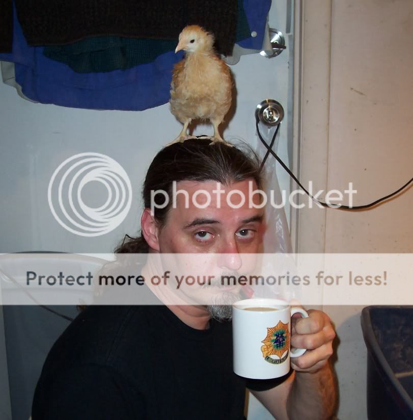 4072010tom3.jpg