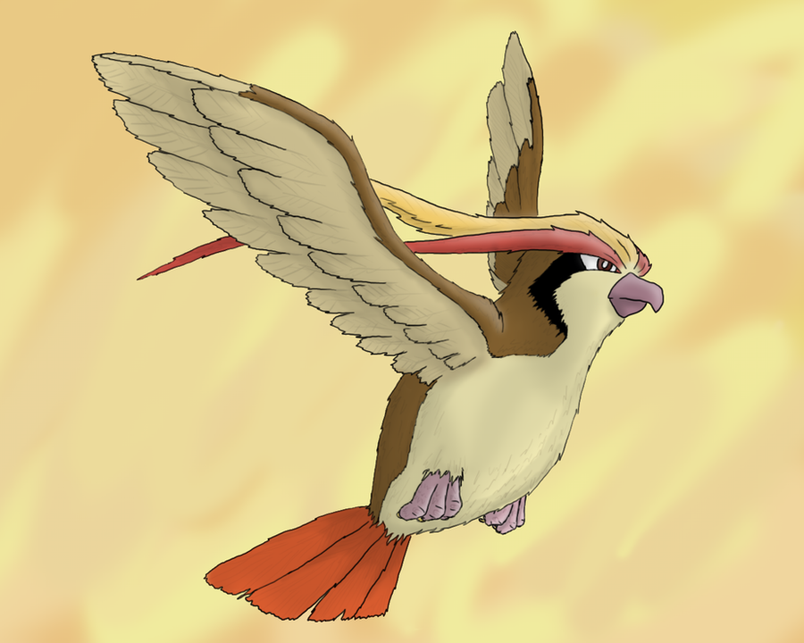 pidgeot__by_sentbox-d37jn8k.png