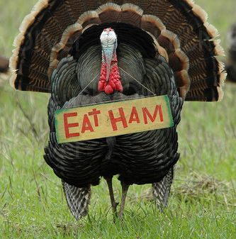eat-ham-turkey.jpg