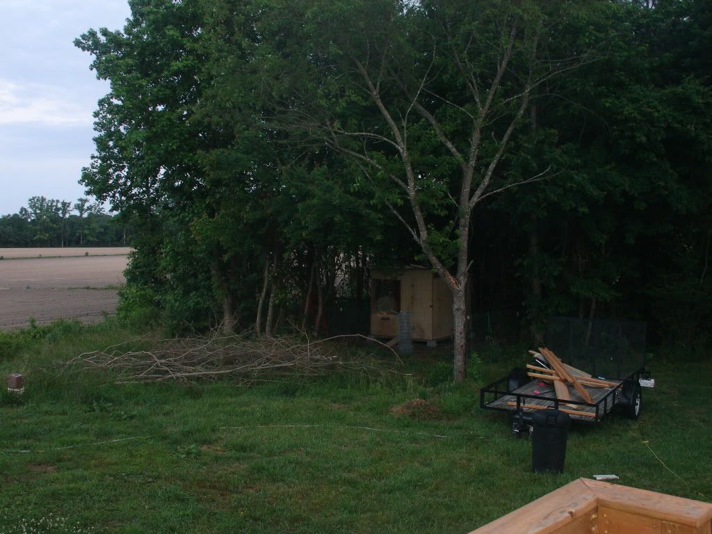 DSC01239.jpg