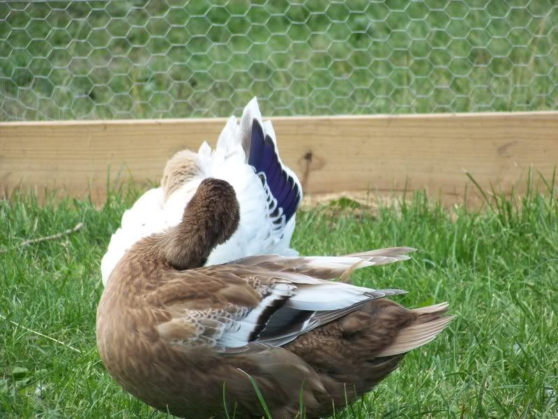 100_6337.jpg