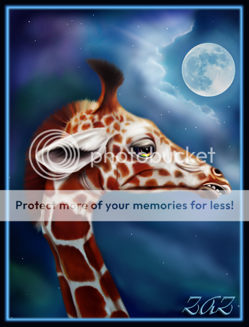 22008webpic.png