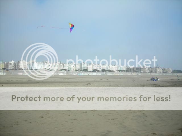 DSCN3712.jpg