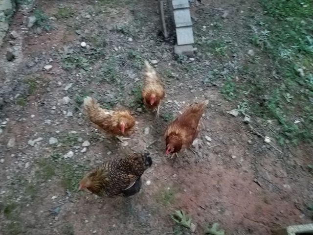20170820_200312.jpg