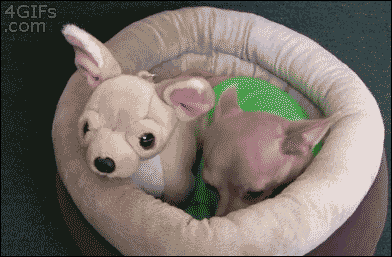 60473b6d8a953edda0181952089b4770.gif
