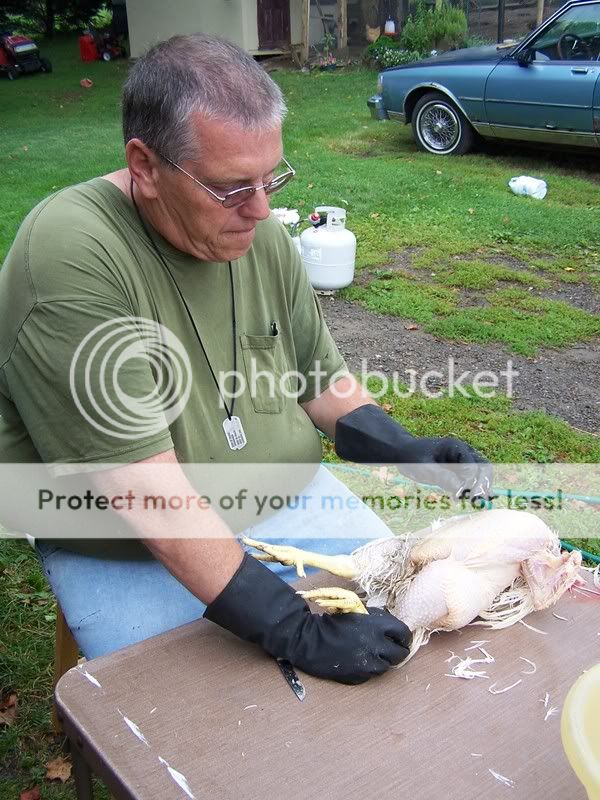 100_6760.jpg