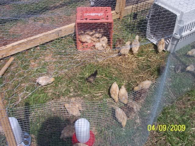 100_1662.jpg