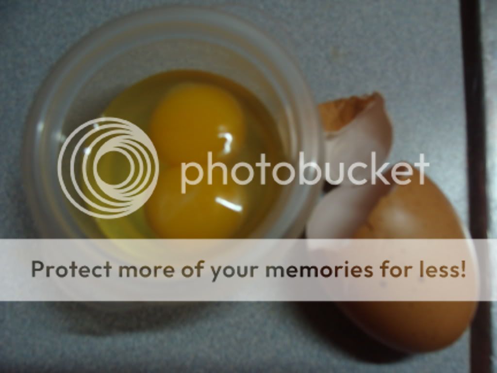 ChickPicks400.jpg