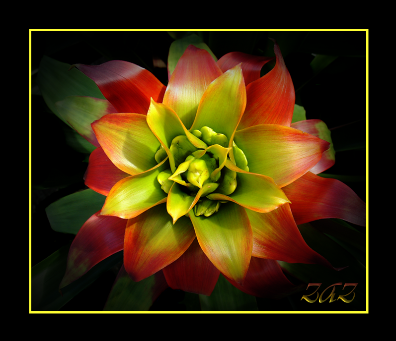 DSC00049-1-12.png