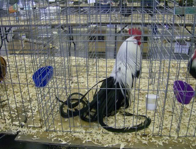 StocktonShow1-12-08037.jpg