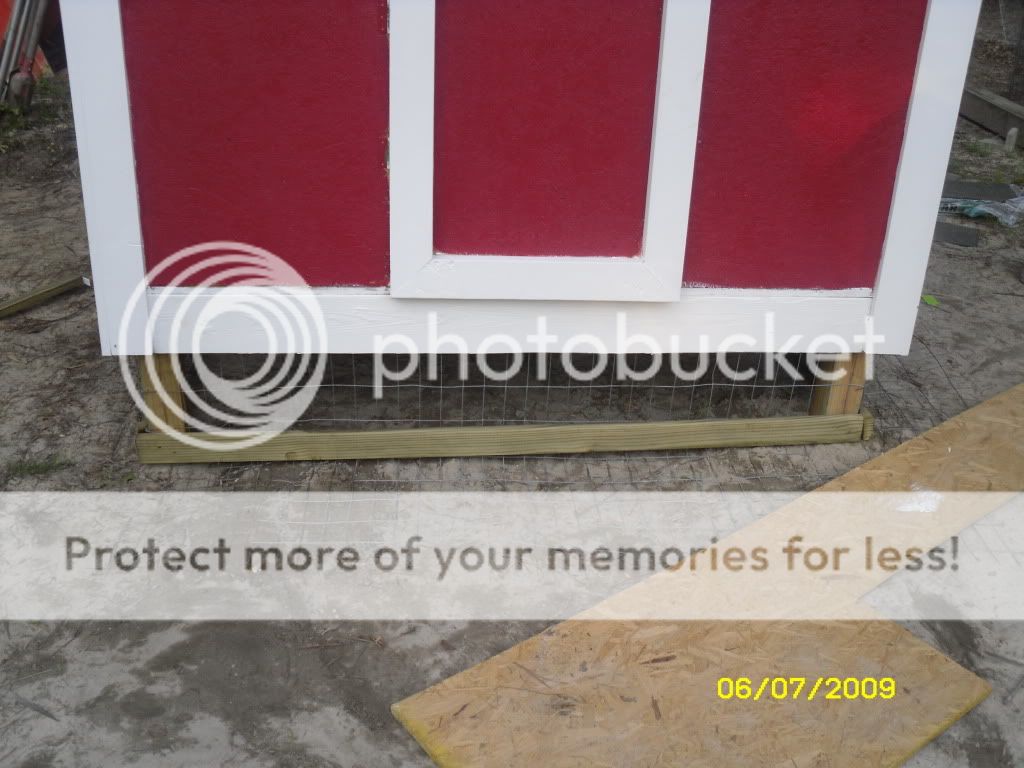 SDC10087.jpg