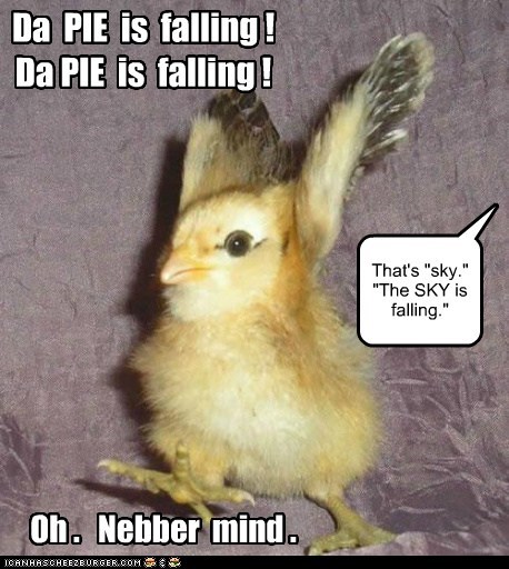 Animal Comedy - baby chick - Animal Comedy - Animal Comedy, funny animals,  animal gifs - Cheezburger