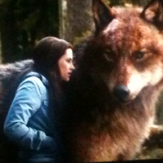 HUGE+wolf.png