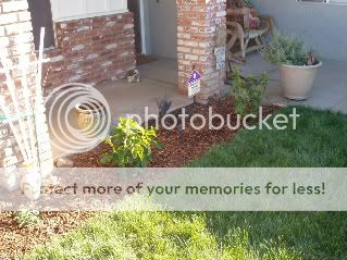 gardenstuff007.jpg