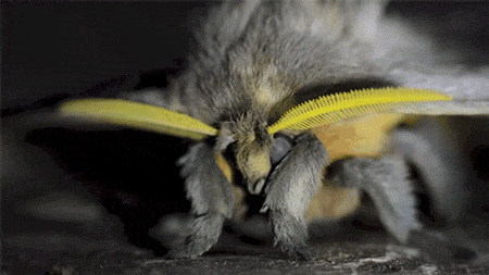 tumblr_mvwy10BVsN1qbh26io1_500.gif