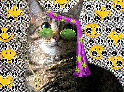 HippieCat.jpg