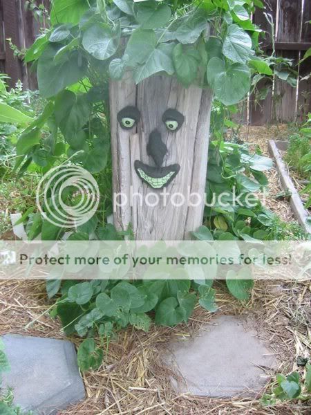 TreeFacewithVineHairemail.jpg