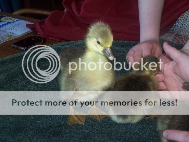 100_6173.jpg