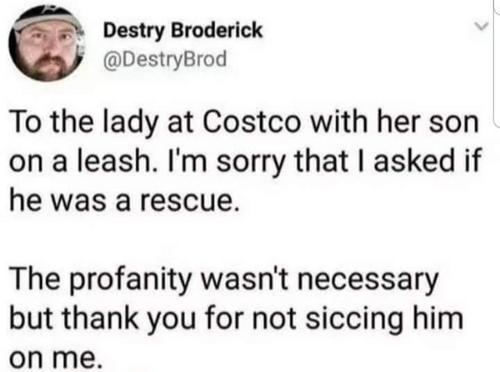 gs8llEO.jpeg