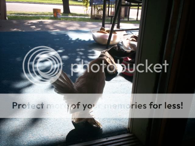 100_1749.jpg