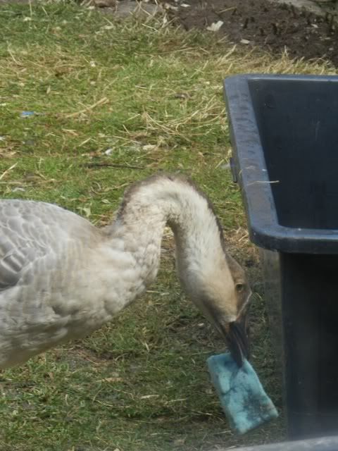 DSCN0643.jpg