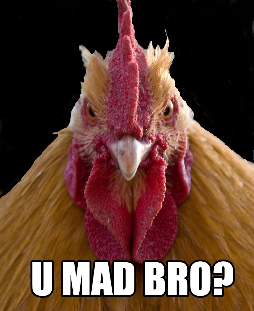 angry-chicken-copy.jpg