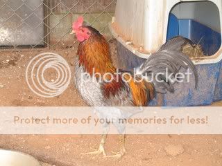 IMG_0215.jpg