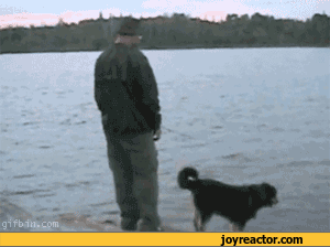 gif-dog-old-man-fishing-759574.gif
