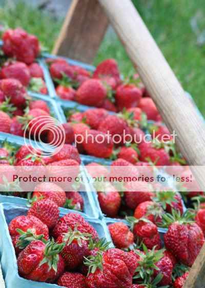 strawberries_3-1.jpg