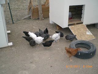 CIMG4581.JPG