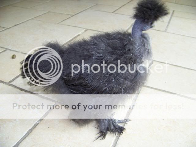 100_2829.jpg