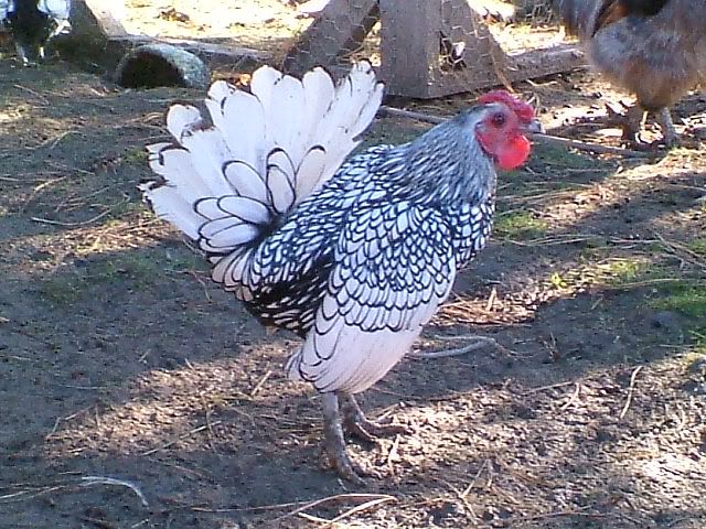 DSCF5573.jpg